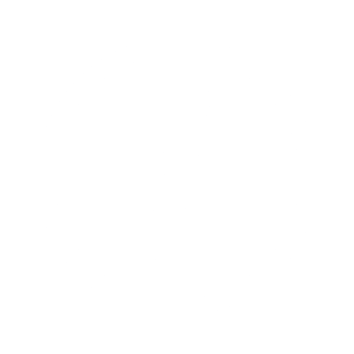 Project information